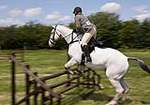 Wanborough Horse and Dog show